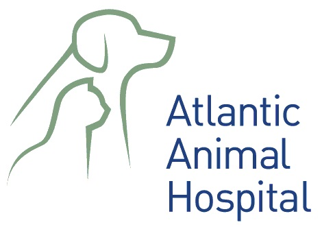 Atlantic Animal Hospital