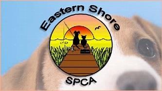 SPCA Eastern Shore